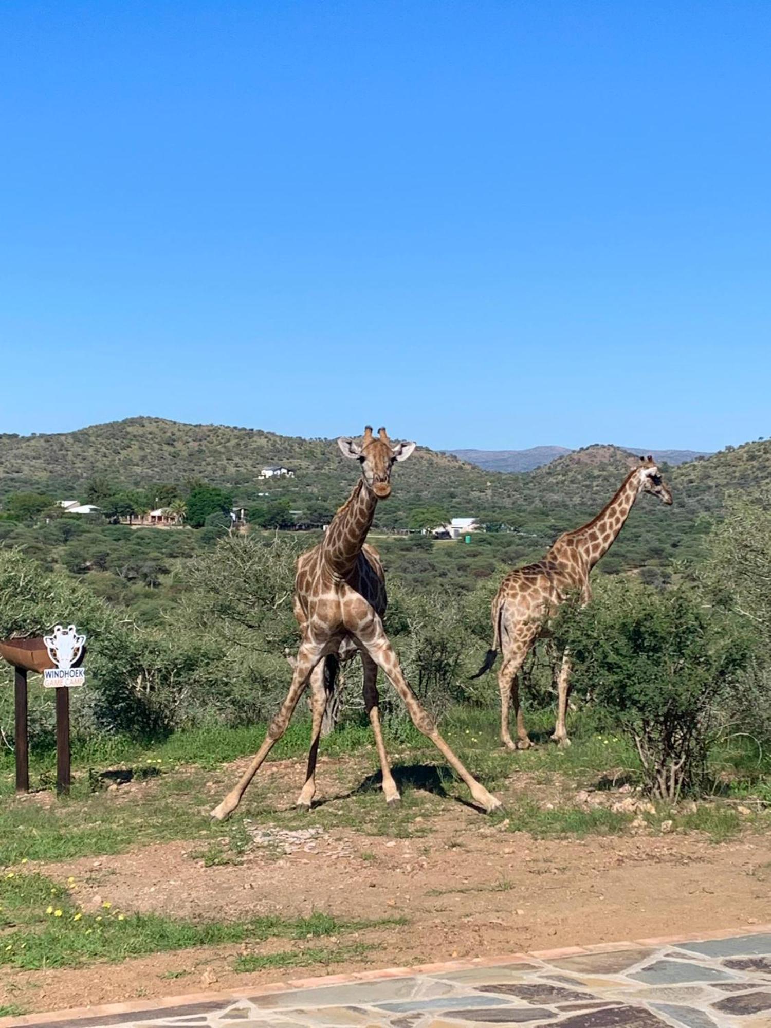Windhoek Game Camp Lafrenz Township المظهر الخارجي الصورة